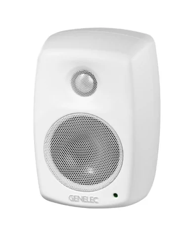 Genelec 4010A Altoparlante da installazione 4010A