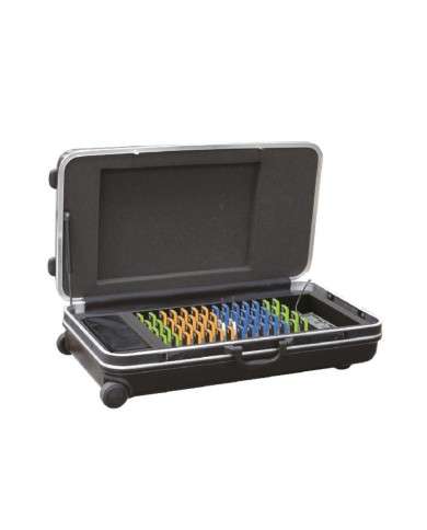 sistema radioguide