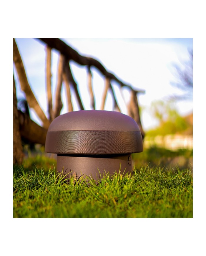 casse da giardino a fungo