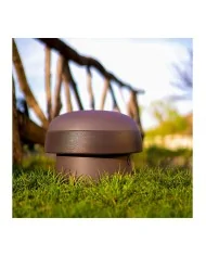 casse da giardino a fungo