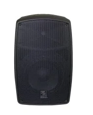 Speker o diffusore portatile con microfono wireless ricaricabile