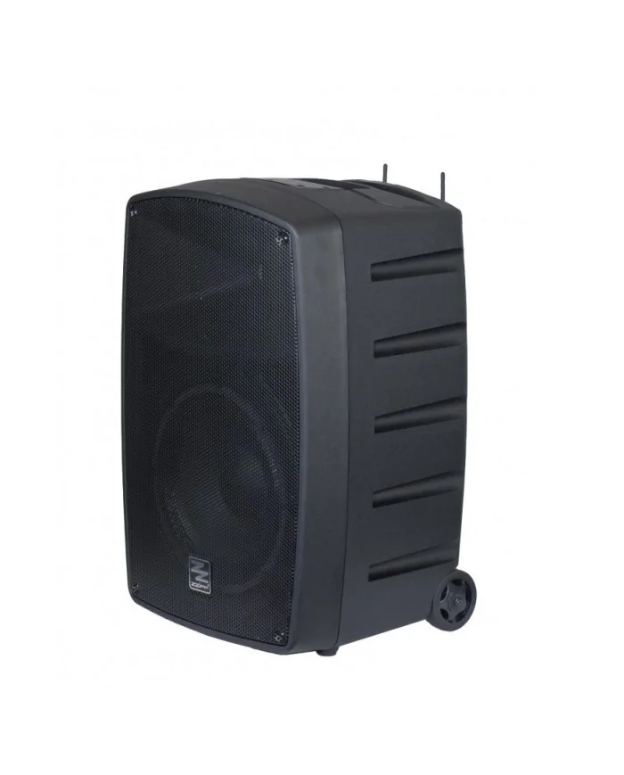 Speker o diffusore portatile con microfono wireless ricaricabile