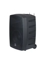 Speker o diffusore portatile con microfono wireless ricaricabile