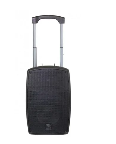 Speker o diffusore portatile con microfono wireless ricaricabile