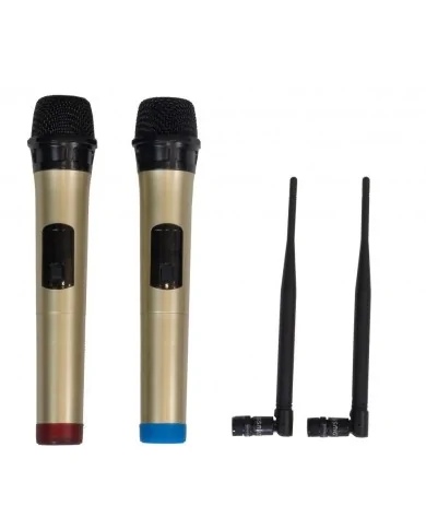 Speker o diffusore portatile con microfono wireless ricaricabile