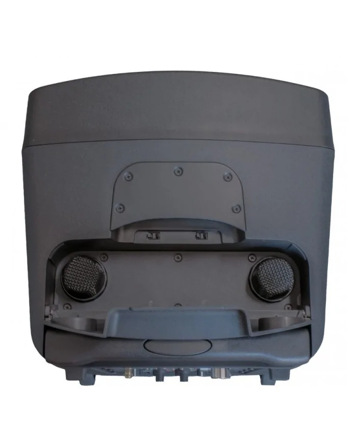 Speker o diffusore portatile con microfono wireless ricaricabile