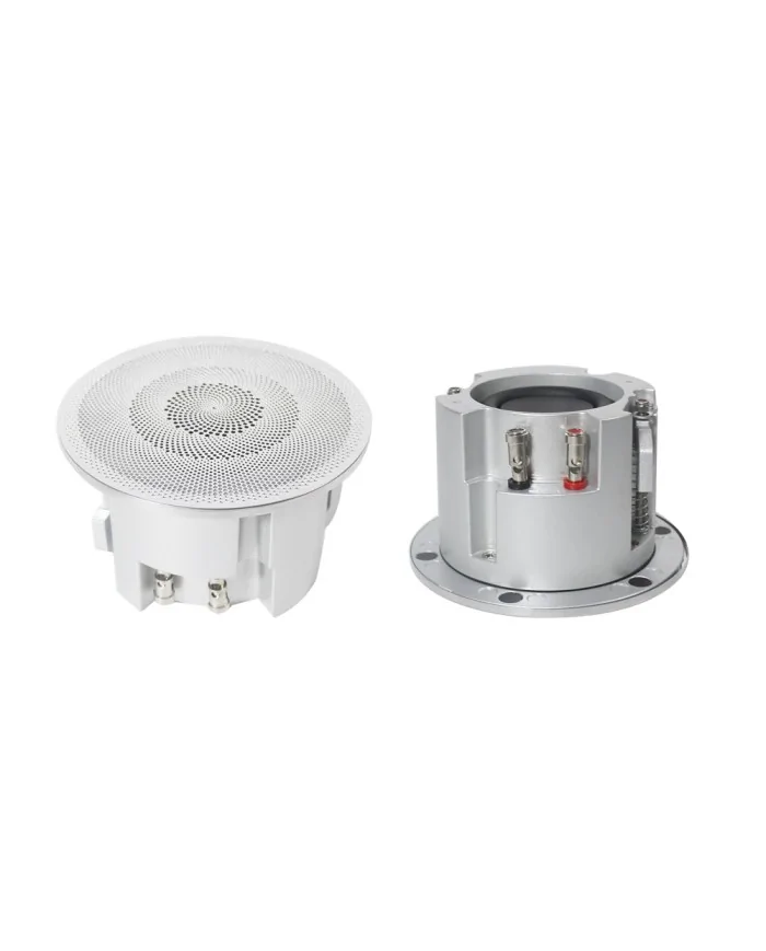Altoparlante da soffitto Full range ad alte prestazioni da 2,5 pollici