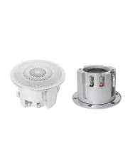 Altoparlante da soffitto Full range ad alte prestazioni da 2,5 pollici