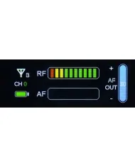 Microfono portatile senza fili wireless - 2,4 GHz