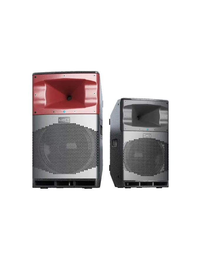 Cassa attiva amplificata da 1000 watt con Bluetooth