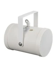 altoparlante bidirezionale